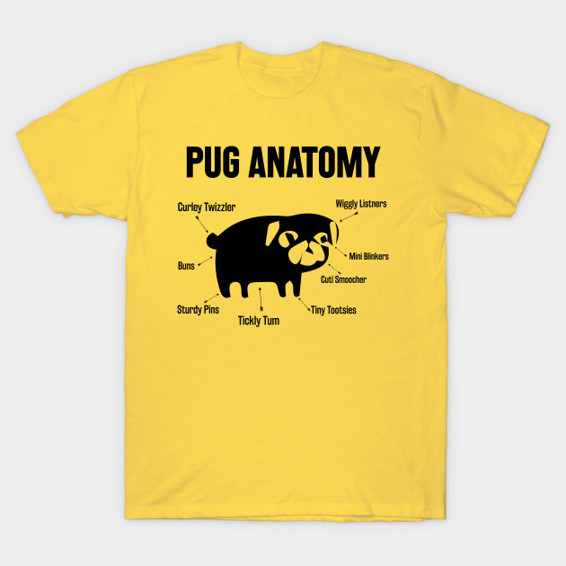 The Pug Anatomy by animericans